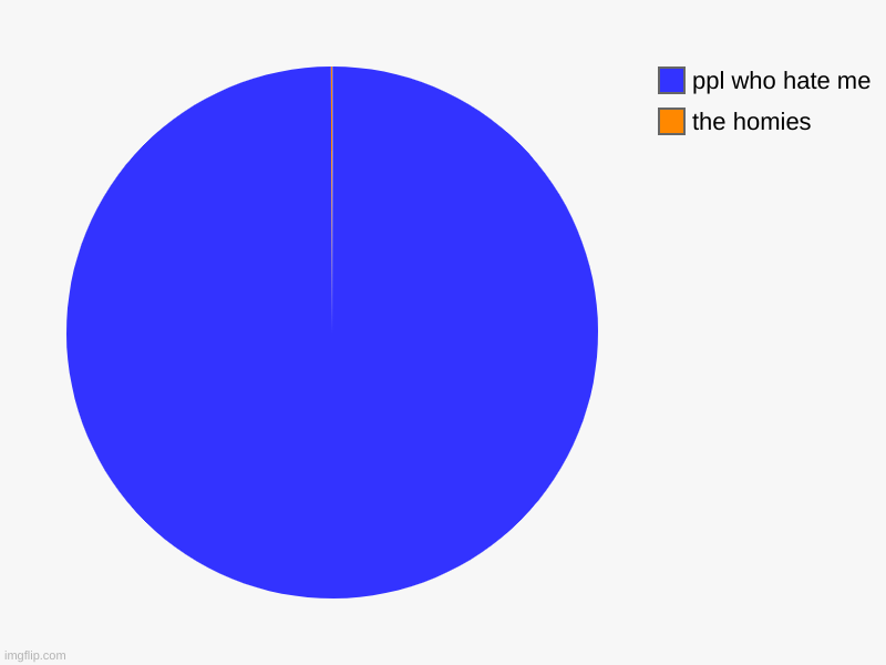 the homies, ppl who hate me | image tagged in charts,pie charts | made w/ Imgflip chart maker