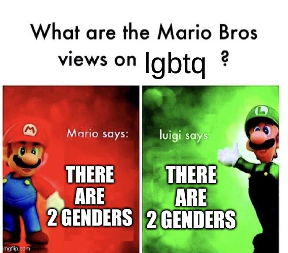 Mario Bros Views |  lgbtq; THERE ARE 2 GENDERS; THERE ARE 2 GENDERS | image tagged in mario bros views | made w/ Imgflip meme maker