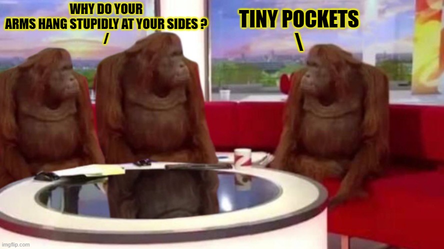 orangutan interview | WHY DO YOUR ARMS HANG STUPIDLY AT YOUR SIDES ?
/ TINY POCKETS
\ | image tagged in orangutan interview | made w/ Imgflip meme maker
