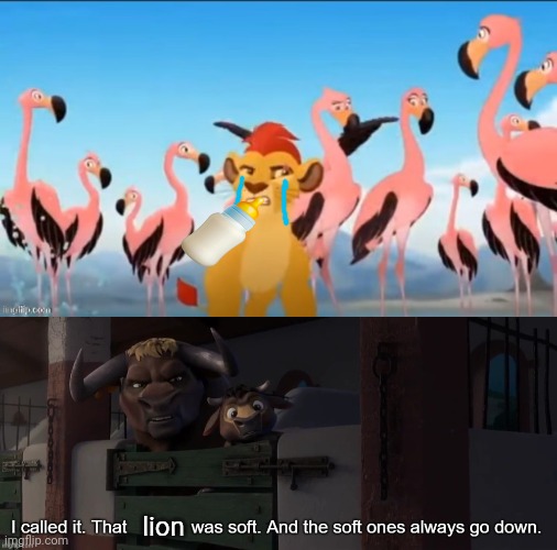 Kion was always a crybaby | lion | image tagged in garbage,i called it that x was soft and the soft ones always go down,the lion guard,crying kion crybaby | made w/ Imgflip meme maker