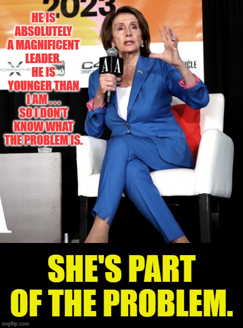 If That's What She Really Feels About Joe Biden | HE IS ABSOLUTELY A MAGNIFICENT LEADER. HE IS YOUNGER THAN I AM . . . SO I DON’T KNOW WHAT THE PROBLEM IS. SHE'S PART OF THE PROBLEM. | image tagged in memes,politics,nancy pelosi,older,joe biden,the problem is | made w/ Imgflip meme maker