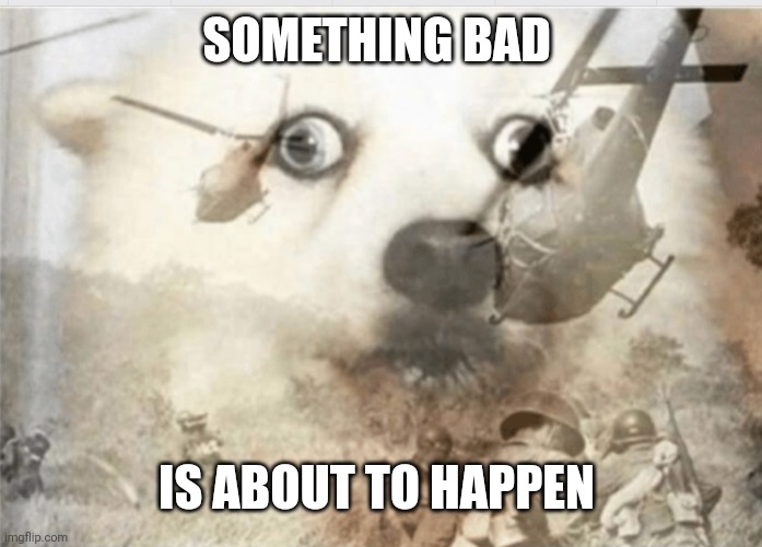 PTSD dog | SOMETHING BAD IS ABOUT TO HAPPEN | image tagged in ptsd dog | made w/ Imgflip meme maker
