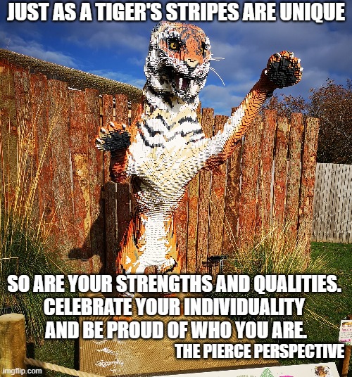 The Pierce Perspective - Just as a tiger's stripes are unique, so are your strengths and qualities. Celebrate your individuality | JUST AS A TIGER'S STRIPES ARE UNIQUE; SO ARE YOUR STRENGTHS AND QUALITIES. 
CELEBRATE YOUR INDIVIDUALITY 
AND BE PROUD OF WHO YOU ARE. THE PIERCE PERSPECTIVE | image tagged in mental health,podcast,tiger,lego | made w/ Imgflip meme maker