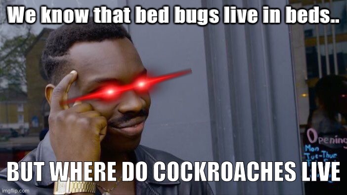 Ayo- | We know that bed bugs live in beds.. BUT WHERE DO COCKROACHES LIVE | image tagged in memes,roll safe think about it,sussy,ayo,caught in 4k | made w/ Imgflip meme maker