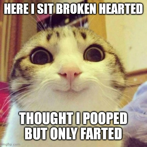 Smiling Cat | HERE I SIT BROKEN HEARTED; THOUGHT I POOPED BUT ONLY FARTED | image tagged in memes,smiling cat | made w/ Imgflip meme maker