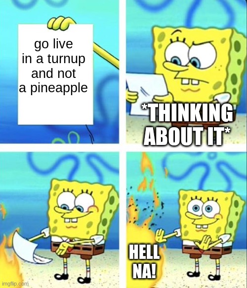 Spongebob yeet | go live in a turnup and not a pineapple; *THINKING ABOUT IT*; HELL NA! | image tagged in spongebob yeet | made w/ Imgflip meme maker
