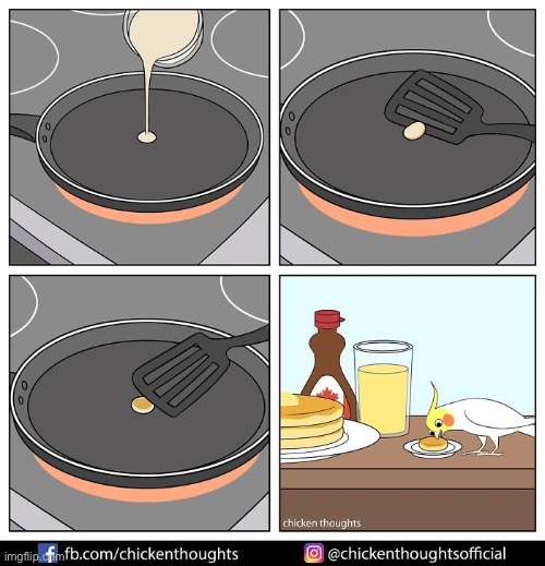Birb comic: pancake | image tagged in birb,comics | made w/ Imgflip meme maker