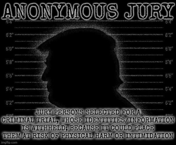 ANONYMOUS JURY | ANONYMOUS JURY; JURY PERSONS SELECTED FOR A CRIMINAL TRIAL, WHOSE IDENTITIES/INFORMATION IS WITHHELD; BECAUSE IT COULD PLACE THEM AT RISK OF PHYSICAL HARM OR INTIMIDATION | image tagged in anonymous jury,trial,intimidation,criminal,withhold identity,information withheld | made w/ Imgflip meme maker