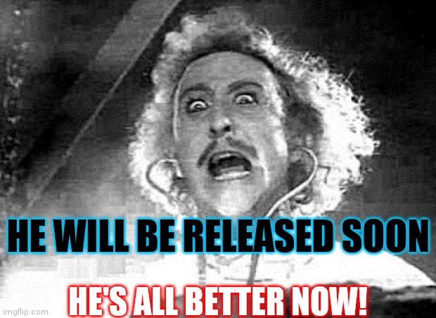 Dr. Frankenstein | HE WILL BE RELEASED SOON HE'S ALL BETTER NOW! | image tagged in dr frankenstein | made w/ Imgflip meme maker