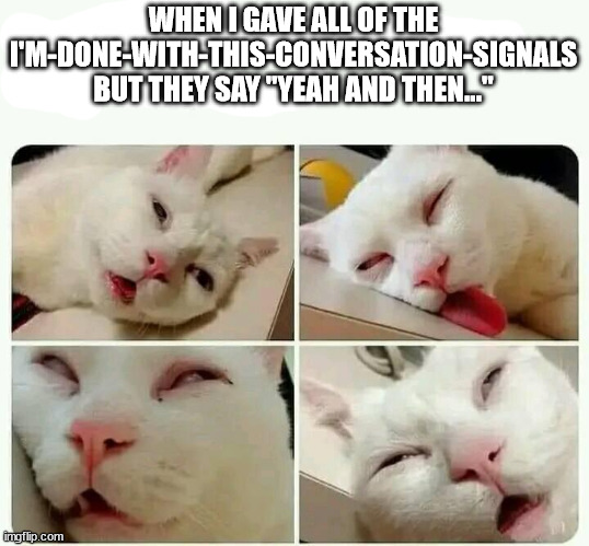 Done with this conversation | WHEN I GAVE ALL OF THE I'M-DONE-WITH-THIS-CONVERSATION-SIGNALS BUT THEY SAY "YEAH AND THEN..." | image tagged in done,conversation,cat,social | made w/ Imgflip meme maker