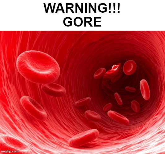 hmm yes blood | WARNING!!!
GORE | image tagged in blood cells | made w/ Imgflip meme maker