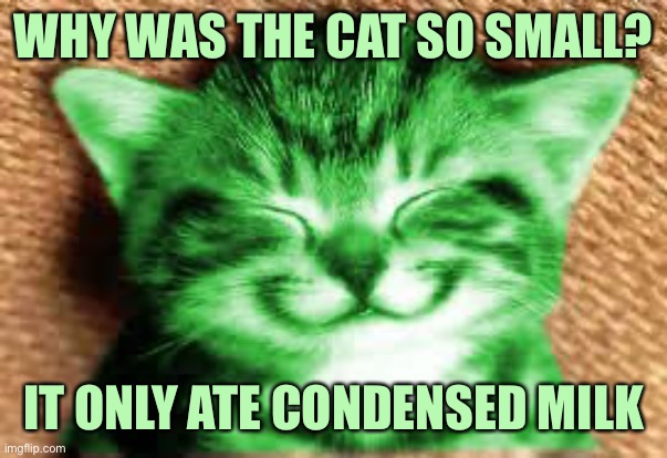 happy RayCat | WHY WAS THE CAT SO SMALL? IT ONLY ATE CONDENSED MILK | image tagged in happy raycat,memes,raycat | made w/ Imgflip meme maker