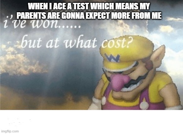 Reduce your expectations to zero | WHEN I ACE A TEST WHICH MEANS MY PARENTS ARE GONNA EXPECT MORE FROM ME | image tagged in wario sad | made w/ Imgflip meme maker
