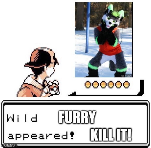 Blank Wild Pokemon Appears | FURRY; KILL IT! | image tagged in blank wild pokemon appears | made w/ Imgflip meme maker