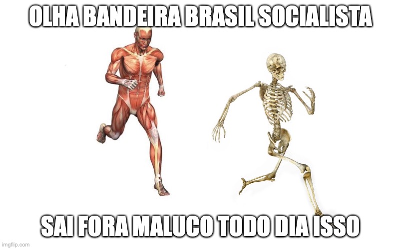 run skeleton | OLHA BANDEIRA BRASIL SOCIALISTA; SAI FORA MALUCO TODO DIA ISSO | image tagged in run skeleton | made w/ Imgflip meme maker