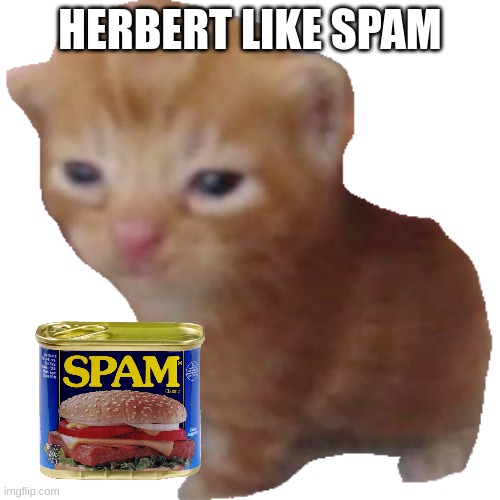 spam for kittie | HERBERT LIKE SPAM | image tagged in herbert | made w/ Imgflip meme maker