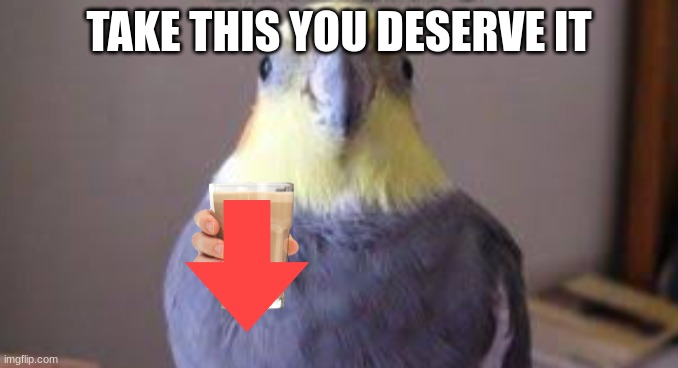 Birb | TAKE THIS YOU DESERVE IT | image tagged in birb | made w/ Imgflip meme maker