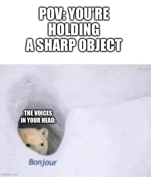 the voices | POV: YOU’RE HOLDING A SHARP OBJECT; THE VOICES IN YOUR HEAD: | image tagged in bonjour,fun | made w/ Imgflip meme maker