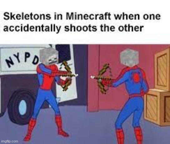 image tagged in minecraft | made w/ Imgflip meme maker