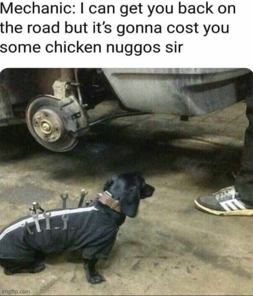 image tagged in memes,funny,wholesome | made w/ Imgflip meme maker