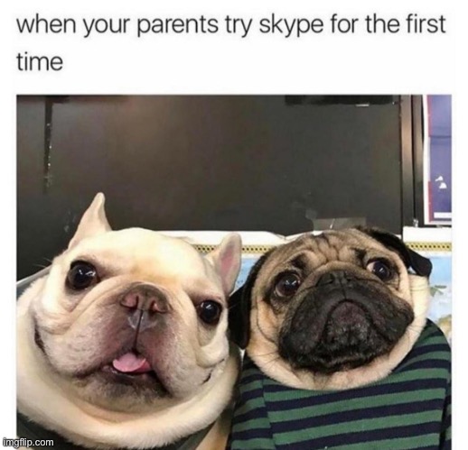 image tagged in memes,funny,wholesome | made w/ Imgflip meme maker