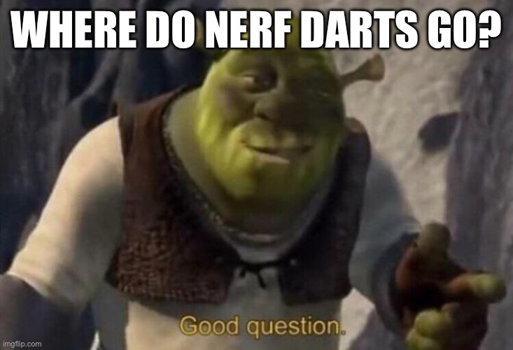They enter the shadow domain | WHERE DO NERF DARTS GO? | image tagged in shrek good question,funny,relatable | made w/ Imgflip meme maker