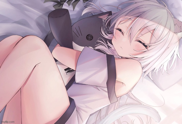 sleepy floof | image tagged in anime | made w/ Imgflip meme maker