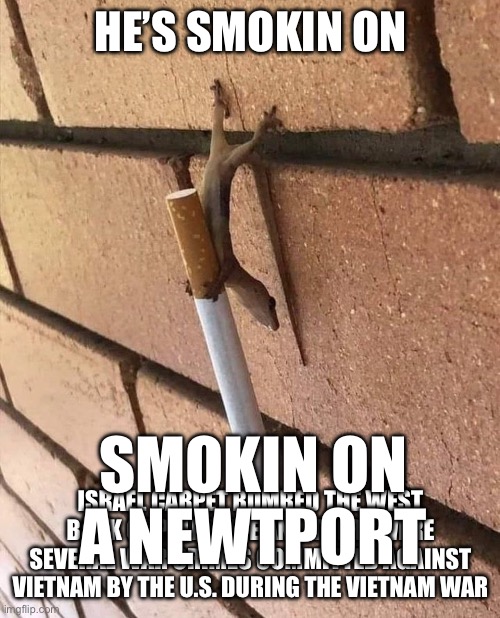 Newtport | HE’S SMOKIN ON; SMOKIN ON A NEWTPORT; ISRAEL CARPET BOMBED THE WEST BANK OF PALESTINE AND THERE WERE SEVERAL WAR CRIMES COMMITTED AGAINST VIETNAM BY THE U.S. DURING THE VIETNAM WAR | image tagged in smoking,memes,dank memes,obama | made w/ Imgflip meme maker