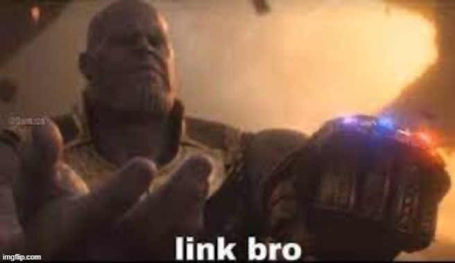 link bro | image tagged in link bro | made w/ Imgflip meme maker