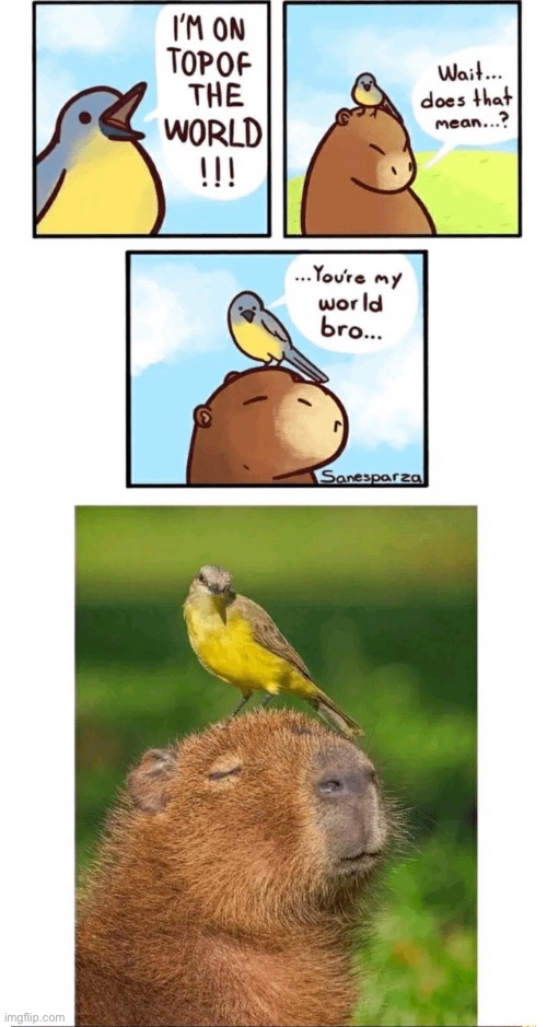 image tagged in wholesome,comics/cartoons | made w/ Imgflip meme maker