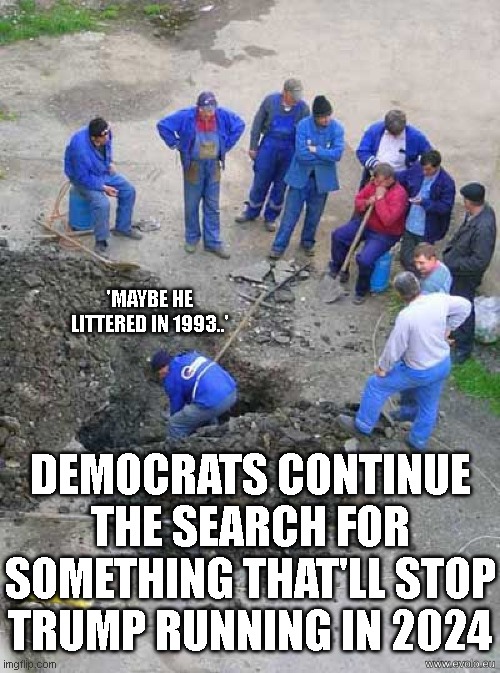 single worker digging hole | 'MAYBE HE LITTERED IN 1993..'; DEMOCRATS CONTINUE THE SEARCH FOR SOMETHING THAT'LL STOP TRUMP RUNNING IN 2024 | image tagged in single worker digging hole | made w/ Imgflip meme maker