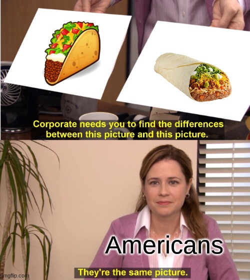 They're The Same Picture | Americans | image tagged in memes,they're the same picture | made w/ Imgflip meme maker