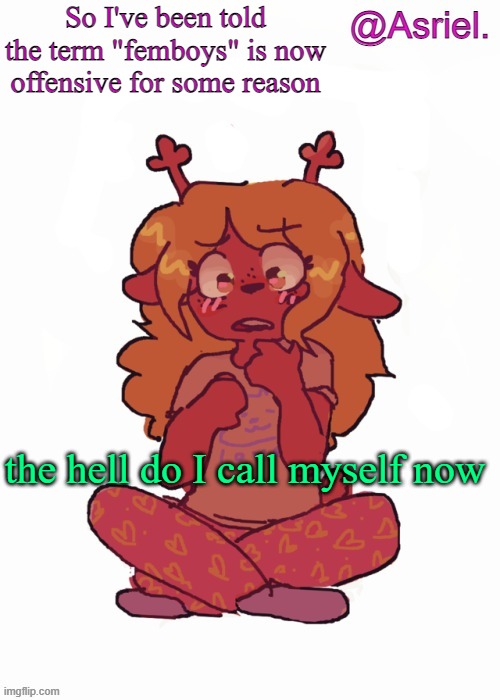 I'm confused | So I've been told the term "femboys" is now offensive for some reason; the hell do I call myself now | image tagged in asriel's other noelle temp | made w/ Imgflip meme maker