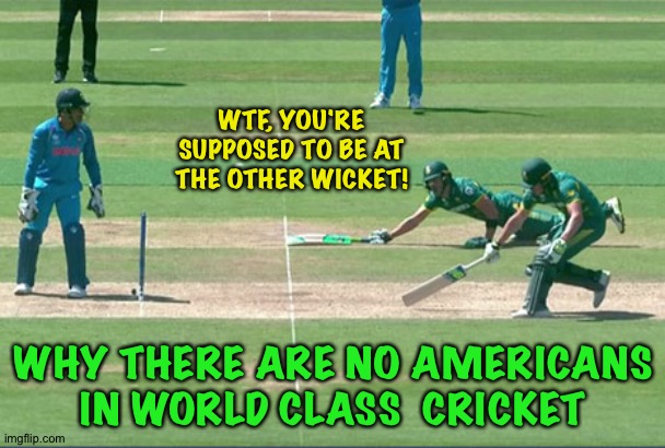 Cricket | WTF, YOU'RE SUPPOSED TO BE AT THE OTHER WICKET! WHY THERE ARE NO AMERICANS IN WORLD CLASS  CRICKET | image tagged in cricket | made w/ Imgflip meme maker