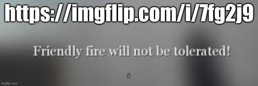 Friendly fire will not be tolerated | https://imgflip.com/i/7fg2j9 | image tagged in friendly fire will not be tolerated | made w/ Imgflip meme maker