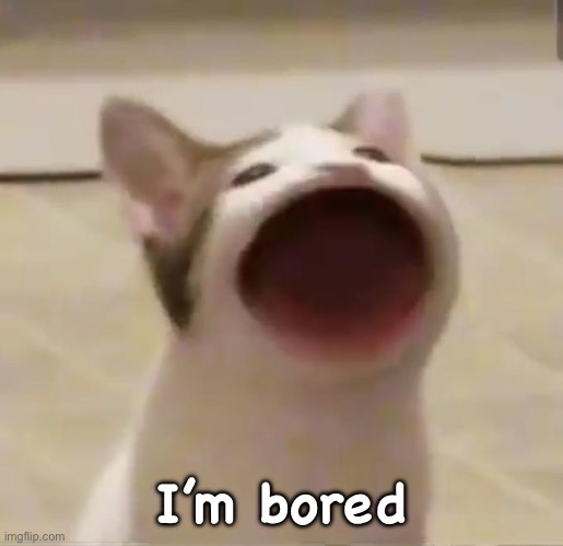 Pop Cat | I’m bored | image tagged in pop cat | made w/ Imgflip meme maker