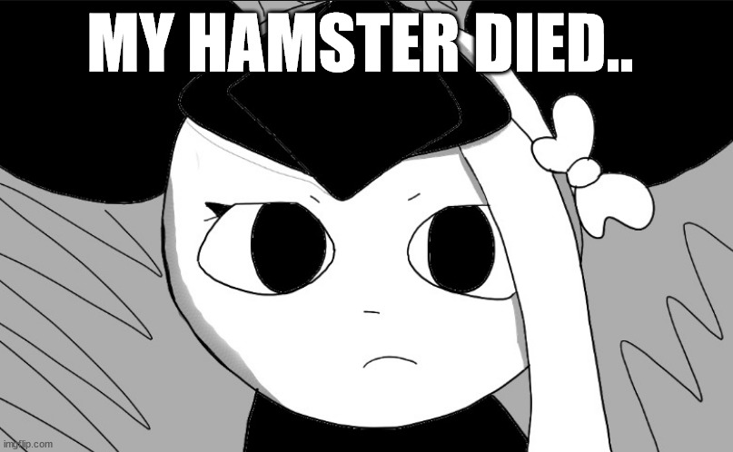 omori sylc | MY HAMSTER DIED.. | image tagged in omori sylc | made w/ Imgflip meme maker