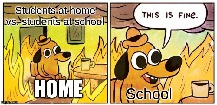 This Is Fine | Students at home vs. students at school; HOME; School | image tagged in memes,this is fine | made w/ Imgflip meme maker