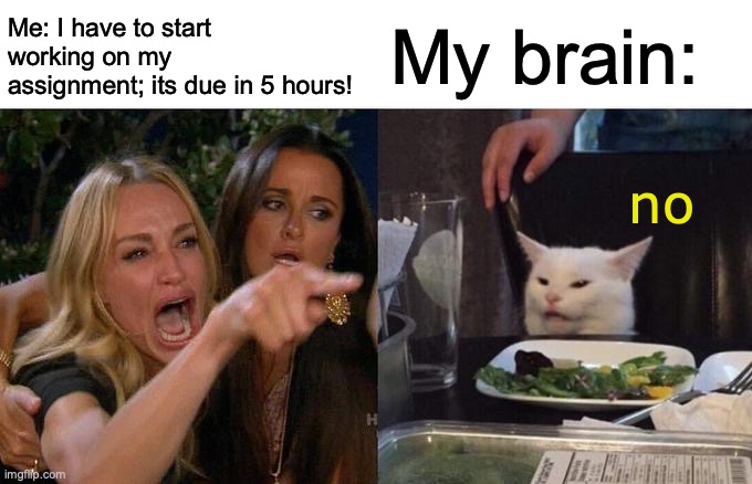 I am very good procrastinator | Me: I have to start working on my assignment; its due in 5 hours! My brain:; no | image tagged in memes,woman yelling at cat | made w/ Imgflip meme maker