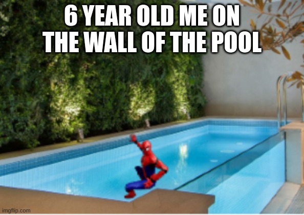 Spoda man | 6 YEAR OLD ME ON THE WALL OF THE POOL | image tagged in lol | made w/ Imgflip meme maker