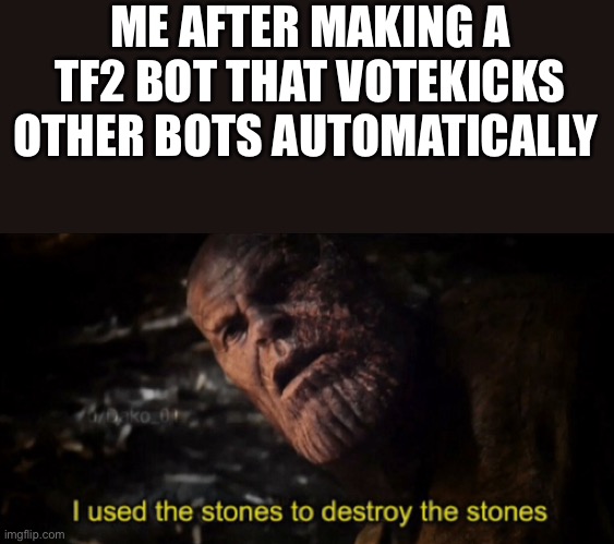 Using bots to stop other bots | ME AFTER MAKING A TF2 BOT THAT VOTEKICKS OTHER BOTS AUTOMATICALLY | image tagged in i used the stones to destroy the stones | made w/ Imgflip meme maker