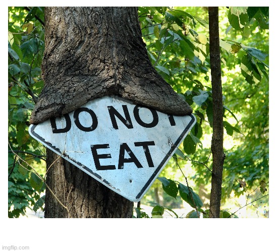 *eats* | image tagged in you had one job,tree,eating,sign,idk,oh wow are you actually reading these tags | made w/ Imgflip meme maker