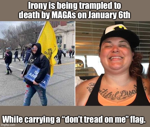 Rosanne Boyland. MAGA. Traitor. Meth head. | Irony is being trampled to death by MAGAs on January 6th; While carrying a “don’t tread on me” flag. | made w/ Imgflip meme maker