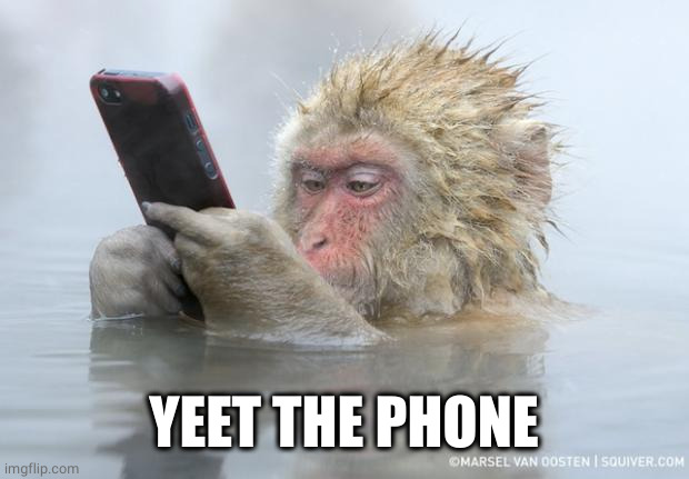 monkey mobile phone | YEET THE PHONE | image tagged in monkey mobile phone | made w/ Imgflip meme maker