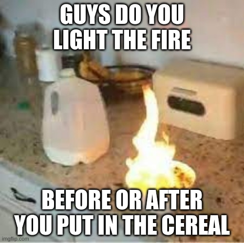 ? | GUYS DO YOU LIGHT THE FIRE; BEFORE OR AFTER YOU PUT IN THE CEREAL | image tagged in cereal,milk,breakfast | made w/ Imgflip meme maker