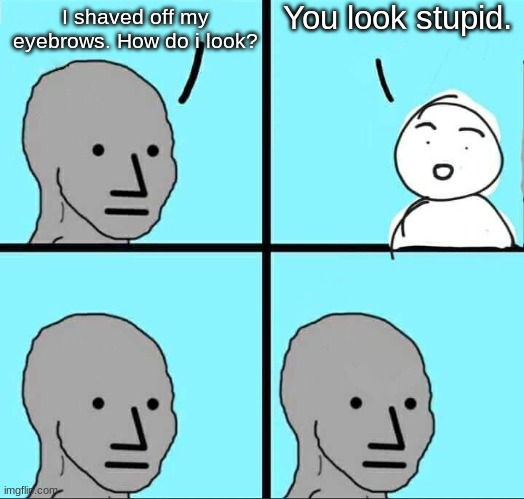 NPC Meme | You look stupid. I shaved off my eyebrows. How do i look? | image tagged in npc meme,eyebrows,shaved | made w/ Imgflip meme maker