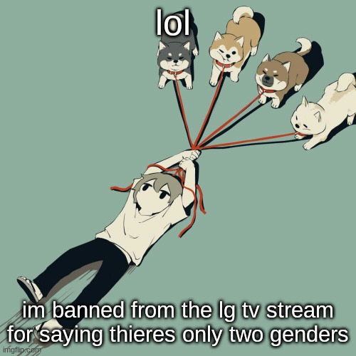Avogado6 | lol; im banned from the lg tv stream for saying thieres only two genders | image tagged in avogado6 | made w/ Imgflip meme maker