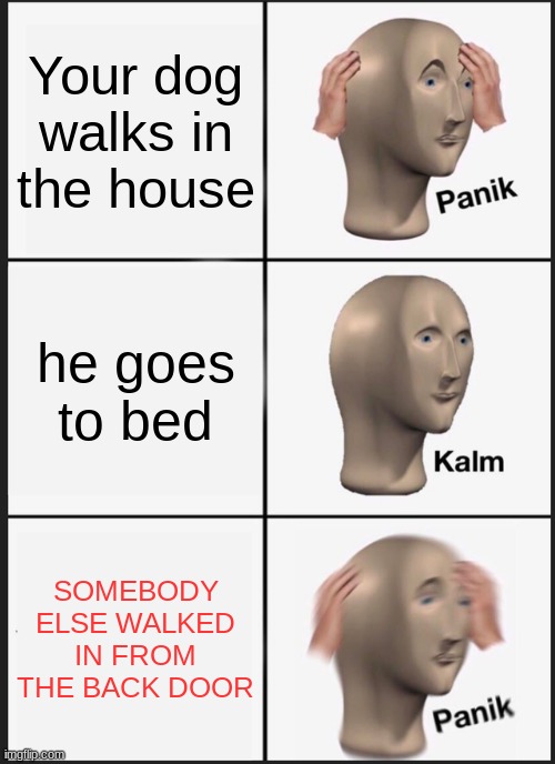 Panik Kalm Panik Meme | Your dog walks in the house he goes to bed SOMEBODY ELSE WALKED IN FROM THE BACK DOOR | image tagged in memes,panik kalm panik | made w/ Imgflip meme maker