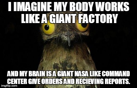 Weird Stuff I Do Potoo Meme | I IMAGINE MY BODY WORKS LIKE A GIANT FACTORY AND MY BRAIN IS A GIANT NASA LIKE COMMAND CENTER GIVE ORDERS AND RECIEVING REPORTS. | image tagged in memes,weird stuff i do potoo,AdviceAnimals | made w/ Imgflip meme maker
