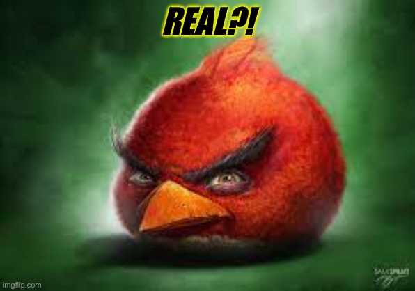 Realistic Red Angry Birds | REAL?! | image tagged in realistic red angry birds | made w/ Imgflip meme maker